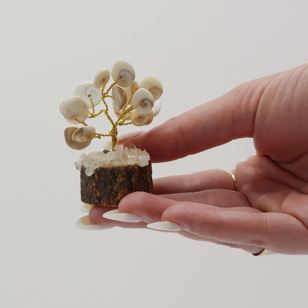12 Pequeños Gomati Chakra Árboles de Piedra Círculo con Rudraksha - (15 piedras)