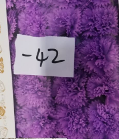 Artesanato com flores de sabão - Cravos - Violeta