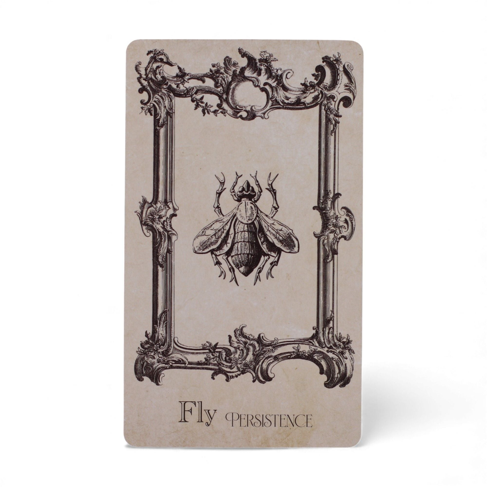 Las cartas oráculo del libro de hechizos - mazo de brujería