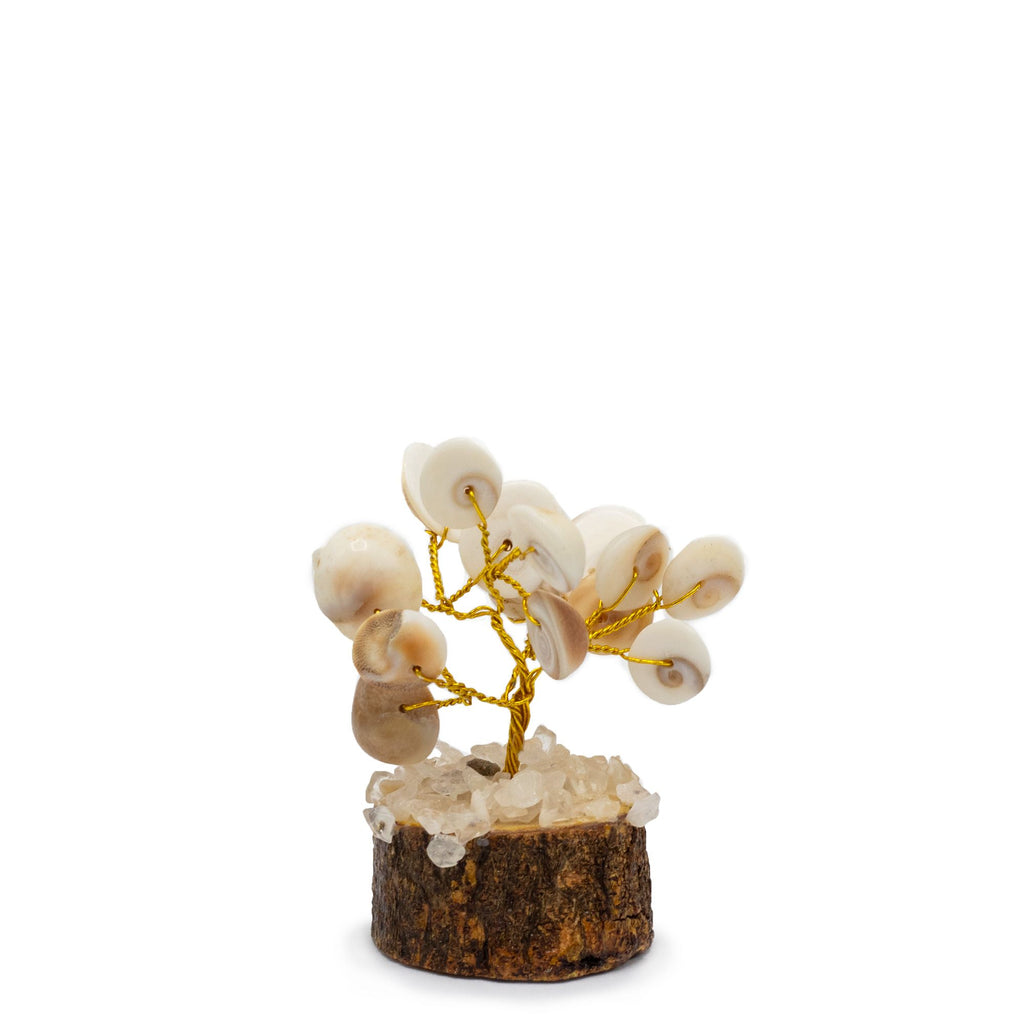 12 Pequeños Gomati Chakra Árboles de Piedra Círculo con Rudraksha - (15 piedras)
