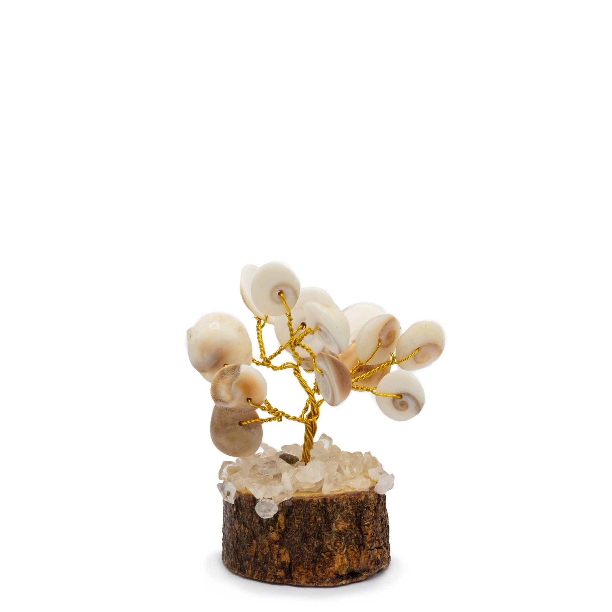 12 Pequeños Gomati Chakra Árboles de Piedra Círculo con Rudraksha - (15 piedras)