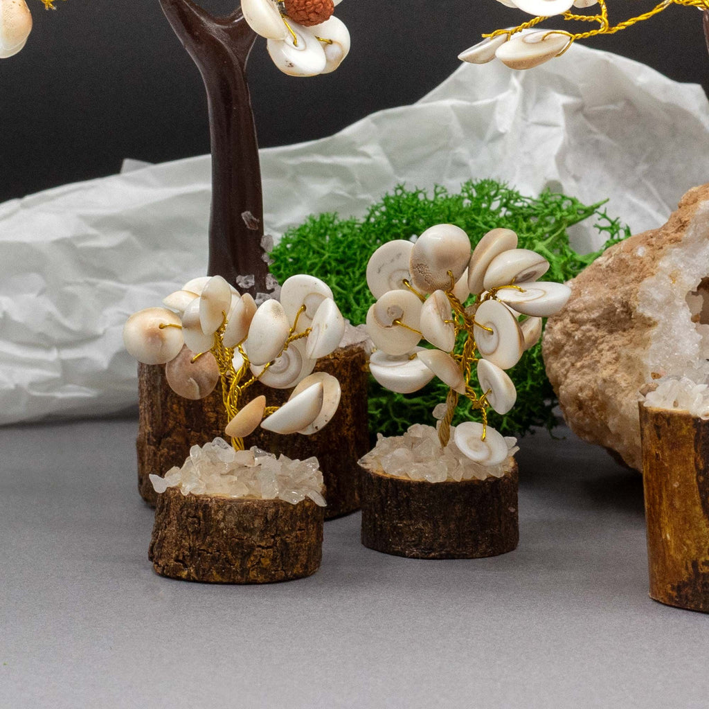 12 Pequeños Gomati Chakra Árboles de Piedra Círculo con Rudraksha - (15 piedras)