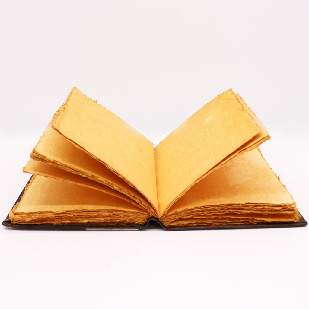 Livro Red Tan - Decoração de Rosa de Zinco com Bordas de Capa