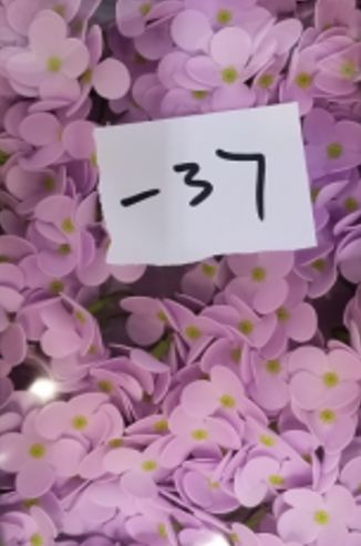 Artesanato com flores de sabão - Jacinto - Lavanda